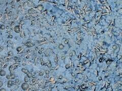 Bastar News: बस्तर में मिल्क फैक्ट्री की लापरवाही, बदबू और वेस्ट मटेरियल से लोग परेशान, शिकायत के बावजूद कार्रवाई नहीं