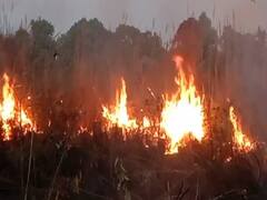 Fire in Kalagarh Forest: कालागढ़ वन रेंज में लगी भीषण आग, बेकाबू आग पर काबू पाने में जुटे वन कर्मचारी