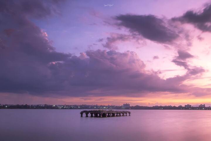 कोल्हापूरच्या प्रज्वल चौगुलेने टिपलेल्या कोष्ट्याच्या जाळीचा अॅपलच्या टॉप 10 फोटोंच्या यादीत समावेश झाला आहे. ( फोटो सौजन्य- प्रज्वल चौगुले)