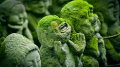 World Heritage Day 2022: ইতিহাস রক্ষার বার্তা দেয় এই দিনটি