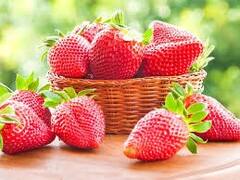 સ્કિનને ગ્લોઇંગ કરવા માટે આ ફેસપેક અપનાવી જુઓ, ઇન્સટન્ટ મળશે રિઝલ્ટ