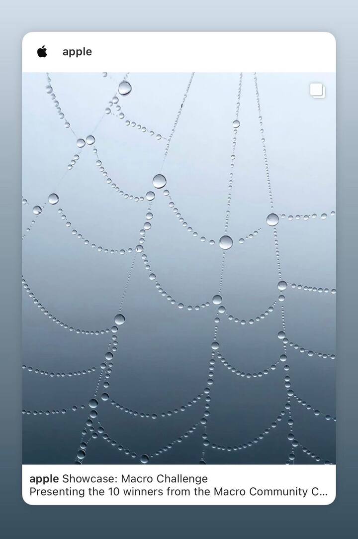 कोल्हापुरातील शिवाजी विद्यापीठात सकाळी फिरायला गेल्यानंतर एका कोष्ट्याची जाळी प्रज्वलच्या निदर्शनास आली. ही जाळी दव बिंदूच्या रुपात होती आणि तीच प्रज्वलने आपल्या कॅमेरात टिपली.