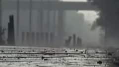 ટોપ 50: હવામાન વિભાગે કમૌસમી વરસાદની આગાહી કરી, જુઓ ગુજરાતી ન્યુઝ