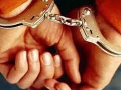 Noida News: नोएडा पुलिस ने तीन बदमाशों को किया गिरफ्तार, रात में ट्रकों से चोरी करते थे डीजल, ये सामान हुआ बरामद