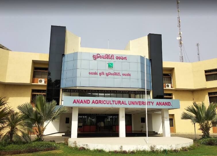 Agriculture News: Over 300 students to get admission more then quata in krishi universities in states Agriculture News: ગુજરાતમાં કૃષિ યુનિવર્સિટીઝમાં ચાલતા સ્નાતક કક્ષાના અભ્યાસક્રમોને લઈ રાજ્ય સરકારે શું કરી મોટી જાહેરાત ? જાણો વિગત