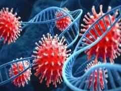 Noida News: कोरोना केस में तेजी पर प्रशासन अलर्ट, नोएडा के आंकड़े बढ़ा सकते हैं चिंता