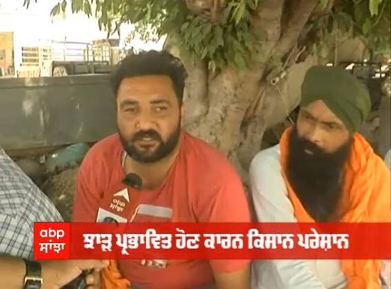 ਮਾਝੇ ਦੀਆਂ ਮੰਡੀਆਂ 'ਚ ਕਿਹੋ ਜਿਹੇ ਨੇ ਕਣਕ ਦੀ ਖ਼ਰੀਦ ਦੇ ਇੰਤਜ਼ਾਮ, ਸੁਣੋ ਕਿਸਾਨਾਂ ਦੀ ਜ਼ੁਬਾਨੀ