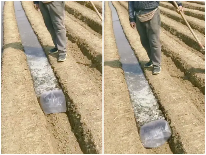 Viral Video : ਪਾਣੀ ਦਾ ਵਹਾਅ ਘੱਟ ਕਰਨ ਲਈ ਵਿਅਕਤੀ ਨੇ ਲਾਇਆ ਅਨੋਖਾ ਜੁਗਾੜ, ਇੰਟਰਨੈੱਟ 'ਤੇ ਹੋ ਰਹੀ 'ਦੇਸੀ ਤਕਨੀਕ' ਵਾਇਰਲ