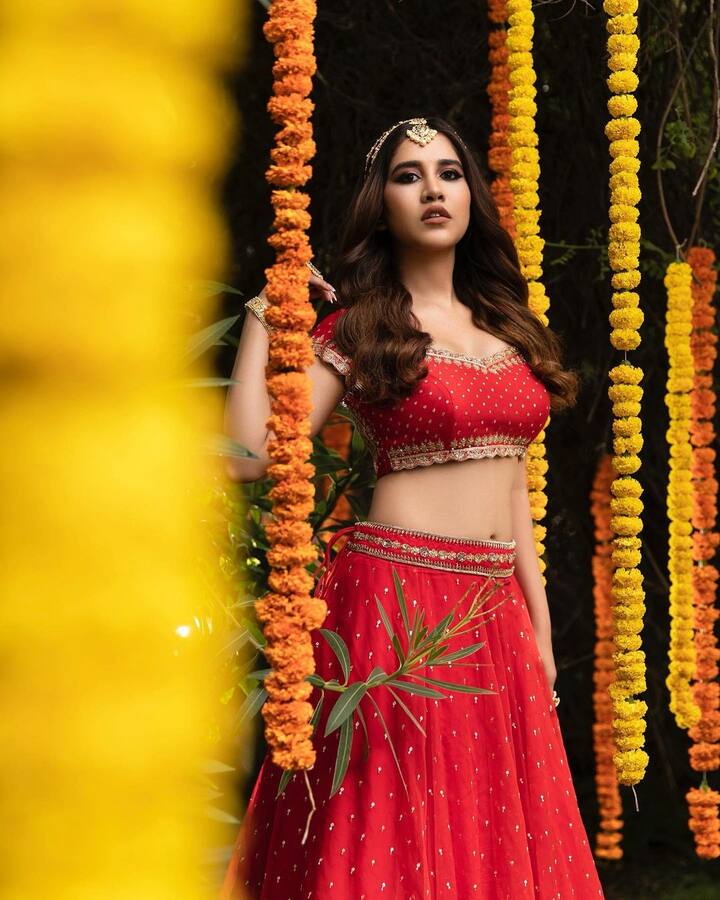 నభా నటేష్ బ్యూటిఫుల్ ఫోటోలు  -Image credit: NabhaNatesh/Instagram