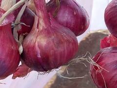 In Pics : नगरच्या पठ्ठ्याची कमाल! एक एकरात तब्बल 25 टन कांदा पिकवला