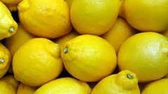 Lemon Price: ১৪ টাকায় পৌঁছেছে পাতিলেবু! গরমে সরবত খাওয়া মাথায়।Bangla News