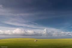 Photo : ब्रॅण्ड कोल्हापूरची जगात चर्चा, प्रज्वल चौगुलेच्या क्लिकचं अॅपलकडून कौतुक