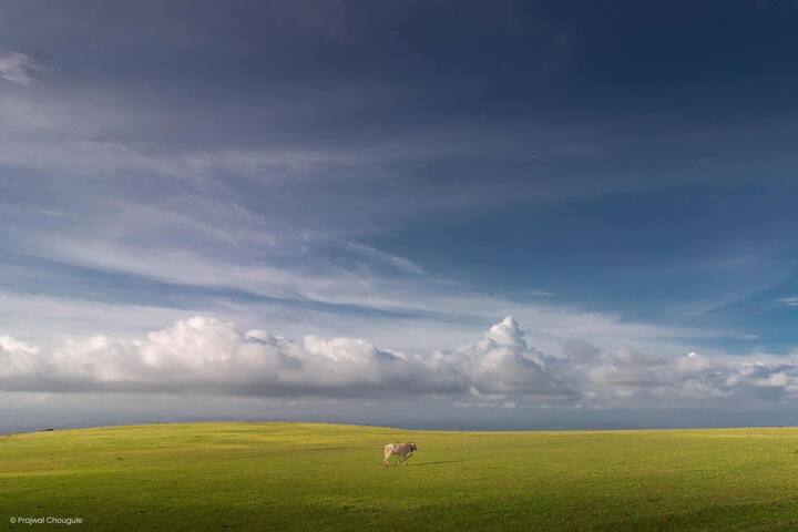 अॅपल कंपनीने घेतलेल्या स्पर्धेमध्ये जगातील पहिल्या 10 फोटोग्राफरच्या यादीत त्याचा समावेश झाला आहे. त्याने काढलेल्या कोष्ट्याच्या जाळीचा फोटोमुळे त्याला ही नवी ओळख मिळाली आहे.