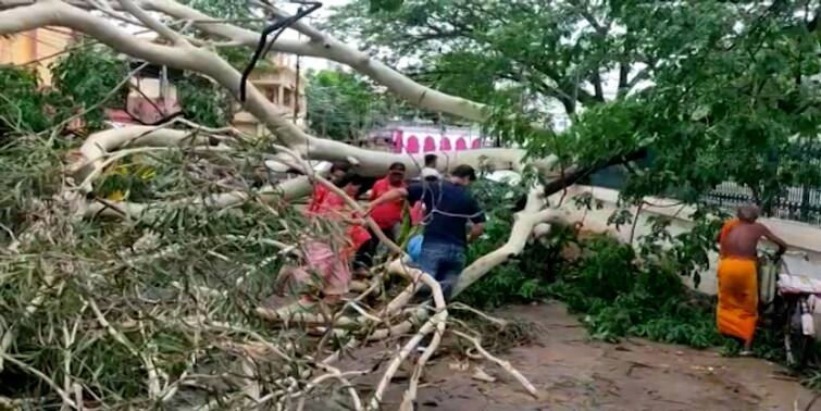 Tripura Agartala Kalbaishakhi hits the state many houses collapsed trees have fallen down 2 injure Tripura News: কালবৈশাখীর তাণ্ডব ত্রিপুরাতেও, লন্ডভন্ড আগরতলা, আহত ২