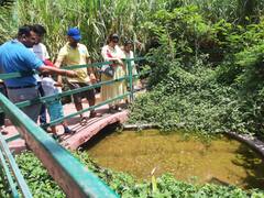 Indore Wishing Well: इंदौर में बना नया 'विशिंग वेल', अपनी मन्नत पूरी करने करने के लिए लोग कुंड में डाल रहे सिक्के