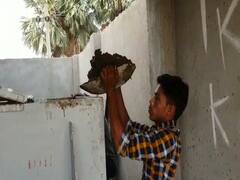 बिहार में पहली बार गाय के गोबर से बनाया जा रहा पेंट, CM नीतीश के गृह जिला में लगाया गया है प्लांट