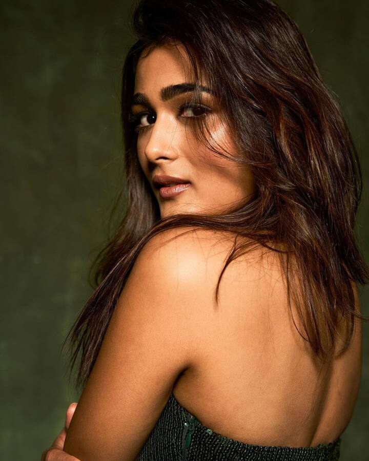 షాలినీ పాండే (Image Credit: Shalini Pandey / Instagram)