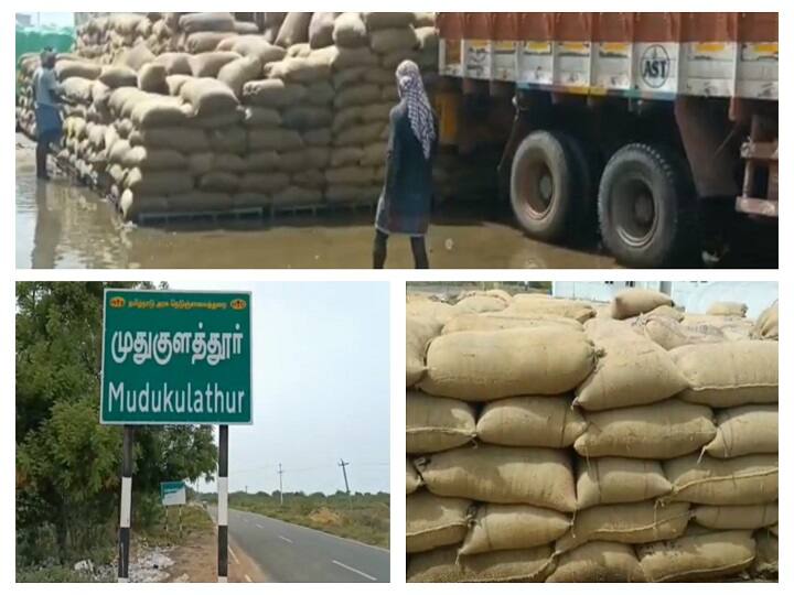 Ramanathapuram sudden summer Rain damaged paddy bundles ராமநாதபுரம் : திடீர் தொடர் கோடை மழை! அதிகாரிகள் ஆழ்ந்த உறக்கம்! பயிர்களான நெல்மணிகள்...!