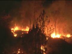 Uttarakhand News: चढ़ते तापमान से उत्तराखंड के जंगलों में लगी आग हुई और विकराल, इतने लाख का हो चुका है अब तक नुकसान