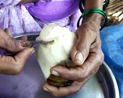 Benefits of Tadgola : पालघरमध्ये ताडगोळ्यांमुळे अनेकांना रोजगार, उन्हाळ्यात ताडगोळे खाण्याचे फायदे