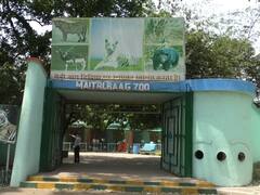 Durg News: भीषण गर्मी से जानवरों को बचाने के लिए मैत्री बाग चिड़ियाघर में विशेष इंतजाम, देखें तस्वीरें