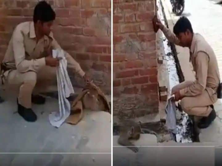 policeman removed dead child from womb of monkey see heart touching viral video marathi news Viral Video : वेदनेने व्याकूळ माकडाच्या गर्भातून पोलिसानी काढले मृत पिल्लू, पाहा हृदयस्पर्शी व्हिडिओ