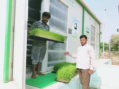 Bihar News: यूपी, बंगाल और झारखंड के किसानों को BAU पढ़ाएगा हाइड्रोपोनिक्स विधि से खेती का पाठ, जानें फायदे