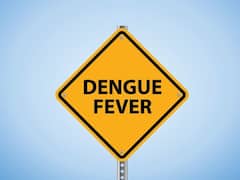 Bacteria-Carrying Mosquitoes Can Protect People From Dengue. New Study Reveals How