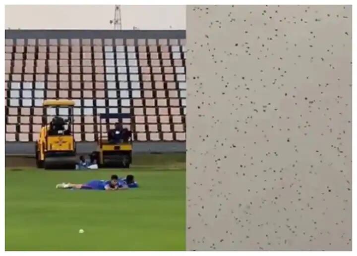 IPL 2022 Bees Attacked During Practice Session, Mumbai Players Survived Like This, Watch Video IPL 2022: પ્રેક્ટિસ દરમિયાન મધમાખીઓએ કર્યો હુમલો, આ રીતે મુંબઈ ઈંડિયન્સના ખેલાડીઓ બચ્યા, જુઓ વીડિયો