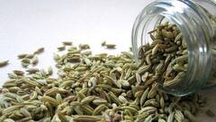 Benefits Of Fennel Seed: মৌরির গুণে ফিরবে স্বাস্থ্য