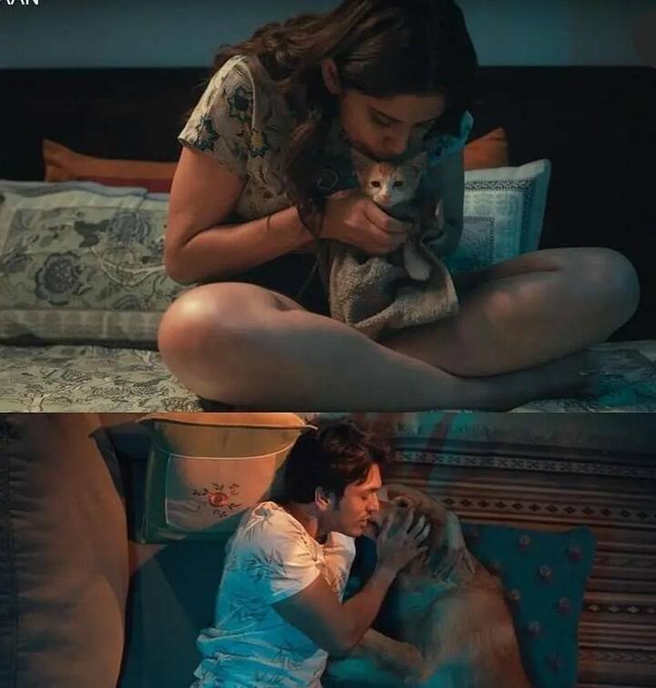 पेट पुराण सीरिजमध्ये सई ताम्हणकर आणि अभिनेता ललित प्रभाकर हे प्रमुख भूमिका साकारणार आहेत. (Dnyanesh Zoting/Instagram)