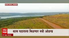 Kas Pathar Satara Special Report : कास पठारावर आता नाईट सफारी, कास पठाराला आता मिळणार नवीन ओळख