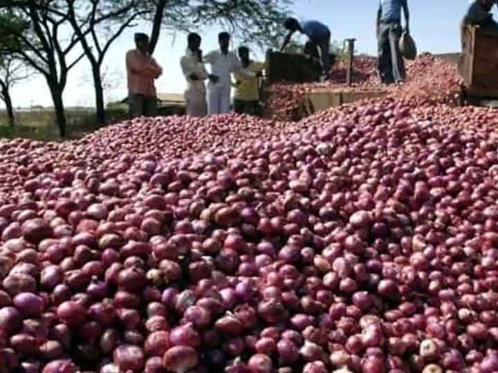 திண்டுக்கல்லில் வெங்காய விலை கடும் வீழ்ச்சி - கண்ணீர் வடிக்கும் விவசாயிகள்