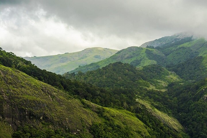 World Earth Day: மேற்குத் தொடர்ச்சி மலையின் உயர் பாலூட்டிகளைப் பாதுகாப்போம்.. பூமி தினப் பகிர்வு..