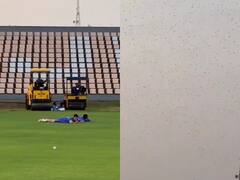 IPL 2022: मुंबई इंडियंस के खिलाड़ियों पर मधुमक्खियों ने कर दिया हमला, वीडियो में देखे कैसे बची टीम