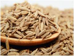 Cumin Benefits: जीरा आपके शरीर को कई तरीकों से पहुंचाता है फायदा, जानें