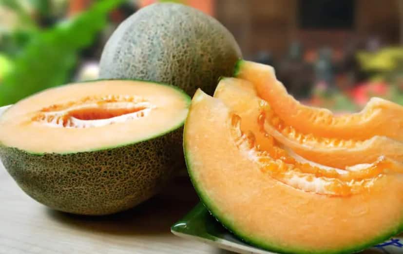 muskmelons Health Benefits in summer keep you hydrated Muskmelon Health Benefits : उन्हाळ्यात खरबूजाचा करा डाएटमध्ये समावेश; जाणून घ्या अगणित फायदे