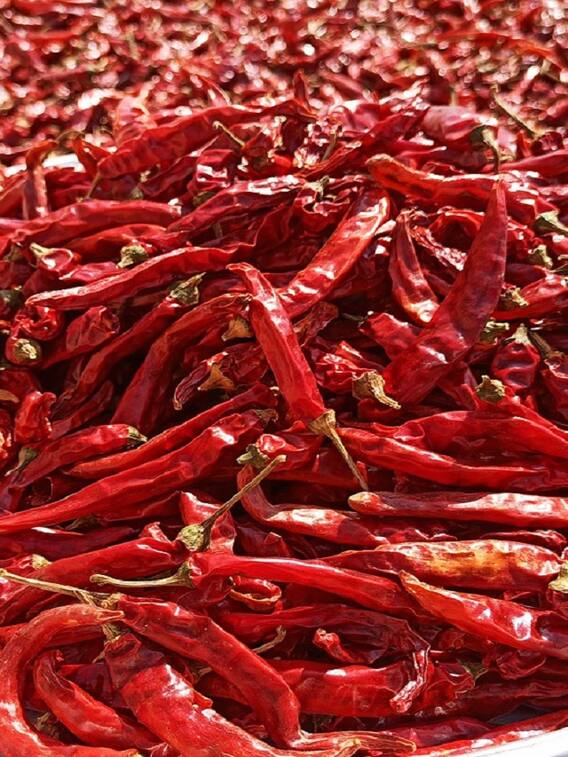 বেশি লঙ্কা খেলে বেশি বিপদ?