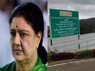 Kodanad Estate Case: பங்களா சாவி யாரிடம் இருக்கும்? விசாரணைக்கு கோடநாடு வருவீர்களா? சசிகலாவிடம் சரமாரி கேள்விகள்!