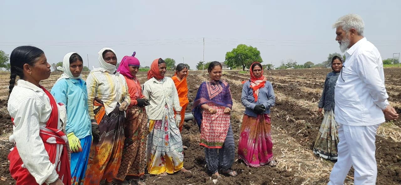 Dadaji Bhuse : कृषीमंत्र्यांनी गाड्याचा ताफा थांबवत शेतकऱ्यांशी साधला संवाद, शेतमाल स्वतः च विकण्याचं केलं आवाहन