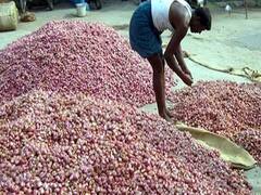 திண்டுக்கல்லில் வெங்காய விலை கடும் வீழ்ச்சி - கண்ணீர் வடிக்கும் விவசாயிகள்