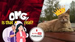 A cat was the mayor of an Alaskan town for 20 years? | OMG! Is that Real? Ep-41