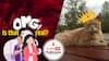 A cat was the mayor of an Alaskan town for 20 years? | OMG! Is that Real? Ep-41