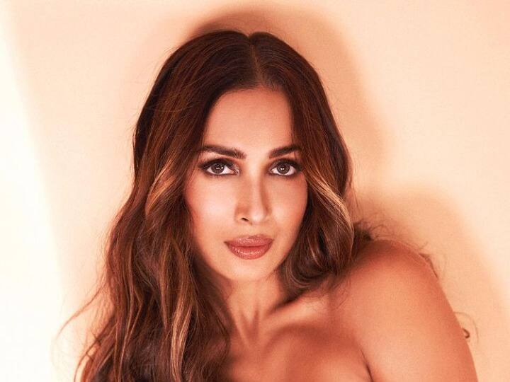 Malaika Arora reveals Physically I am recovering but mentally I feel that it does not go away completely मलाइका अरोड़ा एक्सीडेंट के सदमें से नहीं आईं हैं अभी भी बाहर, कहा-'मेंटली नहीं हुई हूं ठीक'