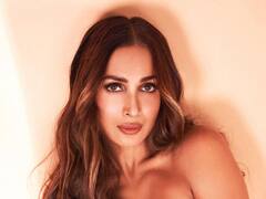 मलाइका अरोड़ा एक्सीडेंट के सदमें से नहीं आईं हैं अभी भी बाहर, कहा-'मेंटली नहीं हुई हूं ठीक'