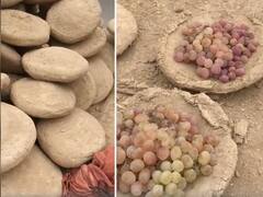 Watch | The Ancient, Rustic Method Used In Afghanistan To Preserve Grapes For Months, Without Any Chemicals