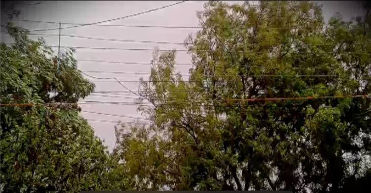 Purulia: heavy strom in Purulia, 1 child killed by lightning Purulia: পুরুলিয়ায় কালবৈশাখীর তাণ্ডব, বজ্রপাতে মৃত্যু ১ শিশুর