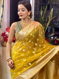 जरा दिल थाम कर देखें Monalisa का देसी लुक