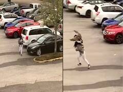 अनजाने में घोंसले के पास जा रही थी महिला, बत्तख ने अचानक किया हमला और फिर...