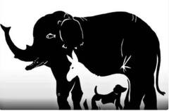 Viral: ਜੇਕਰ ਬਾਜ਼ ਵਰਗੀ ਅੱਖ ਤਾਂ ਦੱਸੋ ਇਸ ਫੋਟੋ 'ਚ ਕਿੰਨੇ ਜਾਨਵਰ ਲੁਕੇ, ਵੱਡੇ-ਵੱਡੇ ਖਿਡਾਰੀਆਂ ਦੇ ਛੁੱਟ ਜਾਣਗੇ ਪਸੀਨੇ